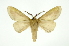  ( - INB0004225112)  @13 [ ] Copyright (2012) Juan Mata Lorenzen Unspecified