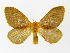  ( - INB0004225779)  @14 [ ] Copyright (2012) J. Montero Instituto Nacional de Biodiversidad