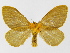  ( - INB0004225779)  @14 [ ] Copyright (2012) J. Montero Instituto Nacional de Biodiversidad