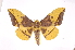  ( - INB0004228109)  @14 [ ] Copyright (2012) I. Chacon Instituto Nacional de Biodiversidad