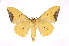  ( - INB0004228109)  @14 [ ] Copyright (2012) I. Chacon Instituto Nacional de Biodiversidad