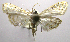  ( - INB0004239416)  @14 [ ] CreativeCommons - Attribution Non-Commercial Share-Alike  National Biodiversity Institute of Costa Rica National Biodiversity Institute of Costa Rica