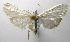  ( - INB0004239533)  @14 [ ] CreativeCommons - Attribution Non-Commercial Share-Alike  National Biodiversity Institute of Costa Rica National Biodiversity Institute of Costa Rica