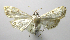  ( - INB0004239585)  @15 [ ] CreativeCommons - Attribution Non-Commercial Share-Alike  National Biodiversity Institute of Costa Rica National Biodiversity Institute of Costa Rica