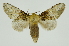  ( - INB0004239633)  @14 [ ] Copyright (2012) Juan Mata Lorenzen Unspecified