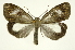  ( - INB0004239930)  @13 [ ] Copyright (2012) Juan Mata Lorenzen Unspecified