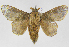  ( - INB0004242877)  @12 [ ] Copyright (2012) J. Montero Instituto Nacional de Biodiversidad