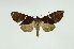  ( - INB0004242961)  @14 [ ] Copyright (2012) Juan Mata Lorenzen Unspecified