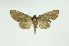  ( - INB0004242961)  @14 [ ] Copyright (2012) Juan Mata Lorenzen Unspecified
