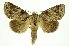  ( - INB0004243147)  @15 [ ] Copyright (2012) Juan Mata Lorenzen Unspecified
