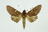  ( - INB0004243154)  @13 [ ] Copyright (2012) Juan Mata Lorenzen INBio