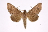  ( - INB0004243299)  @14 [ ] Copyright (2012) I. Chacon Instituto Nacional de Biodiversidad
