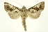  ( - INB0004243303)  @13 [ ] Copyright (2012) Juan Mata Lorenzen Unspecified