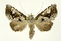  ( - INB0004243318)  @13 [ ] Copyright (2012) Juan Mata Lorenzen Unspecified