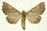  ( - INB0004243318)  @12 [ ] Copyright (2012) Juan Mata Lorenzen Unspecified