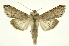  ( - INB0004247189)  @14 [ ] Copyright (2012) Juan Mata Lorenzen Unspecified