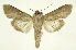  ( - INB0004247189)  @14 [ ] Copyright (2012) Juan Mata Lorenzen Unspecified