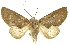  ( - INB0004249096)  @14 [ ] Copyright (2012) J. Montero INBio