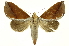  ( - INB0004249226)  @14 [ ] Copyright (2012) Juan Mata Lorenzen Unspecified