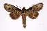  ( - INB0004251121)  @13 [ ] Copyright (2012) I. Chacon Instituto Nacional de Biodiversidad