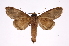  ( - INB0004251121)  @12 [ ] Copyright (2012) I. Chacon Instituto Nacional de Biodiversidad
