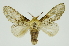  ( - INB0004261374)  @14 [ ] Copyright (2012) Juan Mata Lorenzen Unspecified
