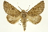  ( - INB0004261504)  @15 [ ] Copyright (2012) J. Montero INBio