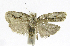  ( - INB0004263590)  @13 [ ] CreativeCommons - Attribution Non-Commercial Share-Alike  National Biodiversity Institute of Costa Rica National Biodiversity Institute of Costa Rica