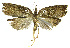  ( - INB0004263615)  @14 [ ] CreativeCommons - Attribution Non-Commercial Share-Alike (2012) National Biodiversity Institute of Costa Rica National Biodiversity Institute of Costa Rica