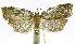  ( - INB0004263617)  @13 [ ] CreativeCommons - Attribution Non-Commercial Share-Alike (2012) National Biodiversity Institute of Costa Rica National Biodiversity Institute of Costa Rica
