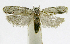  ( - INB0004263659)  @13 [ ] CreativeCommons - Attribution Non-Commercial Share-Alike  National Biodiversity Institute of Costa Rica National Biodiversity Institute of Costa Rica