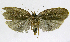  ( - INB0004263672)  @13 [ ] CreativeCommons - Attribution Non-Commercial Share-Alike  National Biodiversity Institute of Costa Rica National Biodiversity Institute of Costa Rica