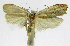  ( - INB0004263674)  @12 [ ] CreativeCommons - Attribution Non-Commercial Share-Alike  National Biodiversity Institute of Costa Rica National Biodiversity Institute of Costa Rica