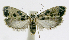  ( - INB0004263681)  @13 [ ] CreativeCommons - Attribution Non-Commercial Share-Alike  National Biodiversity Institute of Costa Rica National Biodiversity Institute of Costa Rica