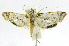  ( - INB0004263722)  @12 [ ] CreativeCommons - Attribution Non-Commercial Share-Alike  National Biodiversity Institute of Costa Rica National Biodiversity Institute of Costa Rica