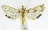  ( - INB0004263723)  @14 [ ] CreativeCommons - Attribution Non-Commercial Share-Alike  National Biodiversity Institute of Costa Rica National Biodiversity Institute of Costa Rica