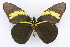  ( - INB0004263774)  @14 [ ] CreativeCommons - Attribution Non-Commercial Share-Alike (2012) National Biodiversity Institute of Costa Rica National Biodiversity Institute of Costa Rica