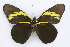  ( - INB0004263775)  @14 [ ] CreativeCommons - Attribution Non-Commercial Share-Alike (2012) National Biodiversity Institute of Costa Rica National Biodiversity Institute of Costa Rica