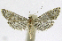  ( - INB0004264994)  @13 [ ] CreativeCommons - Attribution Non-Commercial Share-Alike  National Biodiversity Institute of Costa Rica National Biodiversity Institute of Costa Rica