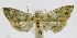  ( - INB0004265006)  @12 [ ] CreativeCommons - Attribution Non-Commercial Share-Alike  National Biodiversity Institute of Costa Rica National Biodiversity Institute of Costa Rica