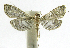  ( - INB0004265020)  @12 [ ] CreativeCommons - Attribution Non-Commercial Share-Alike  National Biodiversity Institute of Costa Rica National Biodiversity Institute of Costa Rica