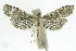  ( - INB0004265021)  @13 [ ] CreativeCommons - Attribution Non-Commercial Share-Alike  National Biodiversity Institute of Costa Rica National Biodiversity Institute of Costa Rica