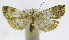  ( - INB0004265023)  @12 [ ] CreativeCommons - Attribution Non-Commercial Share-Alike  National Biodiversity Institute of Costa Rica National Biodiversity Institute of Costa Rica