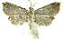  ( - INB0004265026)  @13 [ ] CreativeCommons - Attribution Non-Commercial Share-Alike  National Biodiversity Institute of Costa Rica National Biodiversity Institute of Costa Rica