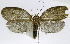  ( - INB0004265033)  @14 [ ] CreativeCommons - Attribution Non-Commercial Share-Alike  National Biodiversity Institute of Costa Rica National Biodiversity Institute of Costa Rica