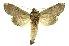  ( - INB0004265189)  @13 [ ] Copyright (2012) Juan Mata Lorenzen Unspecified