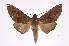  ( - INB0004265195)  @14 [ ] Copyright (2012) I. Chacon Instituto Nacional de Biodiversidad