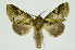  ( - INB0004265216)  @13 [ ] Copyright (2012) Juan Mata Lorenzen Unspecified
