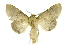  ( - INB0004265216)  @13 [ ] Copyright (2012) Juan Mata Lorenzen Unspecified