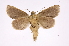  ( - INB0004265224)  @13 [ ] Copyright (2012) I. Chacon Instituto Nacional de Biodiversidad